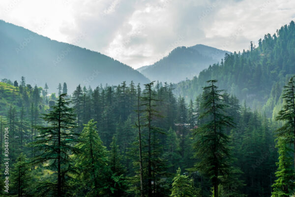 Himachal Delight Tour Itinerary 5N 6D (2PAX) - Image 2