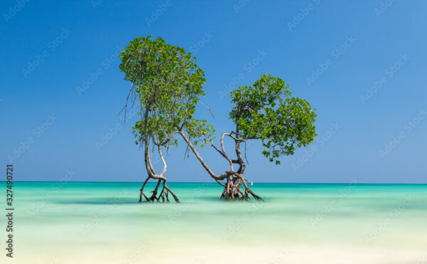 (Andaman Delight Tour Itinerary 5N 6d For 2Person) - Image 4