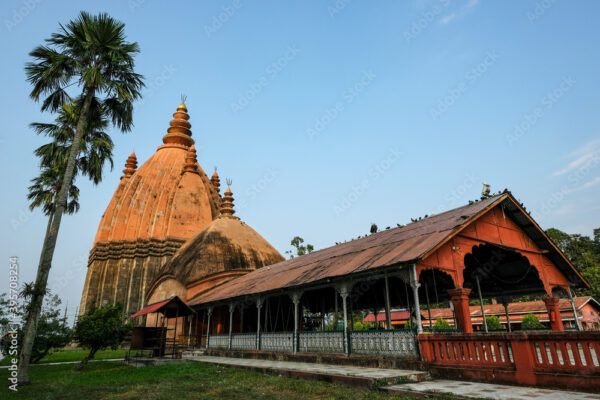 Sivasagar & Charideo 2N 3D - Image 4