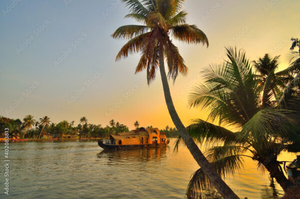 KERALA (5 Nights / 6 Days  for 2 Person) - Image 3